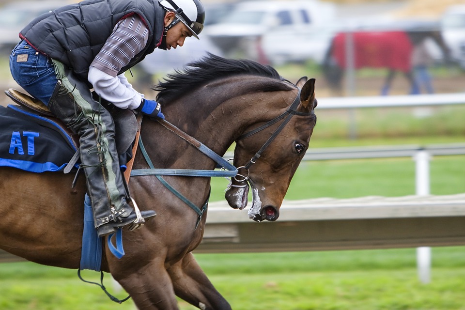 Vulnerabilities in Racehorses