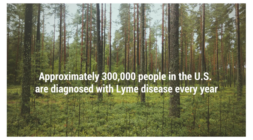Lyme disease causes a variety of vague symptoms.